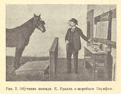 Обучение лошади. К. Кралль с жеребцом Царифом