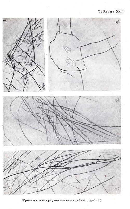 Samples of scribblings of chimpanzee and human child