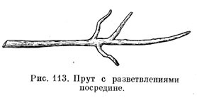 Прут с разветвлениями посредине