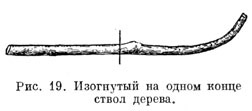 Изогнутый на одном конце ствол дерева