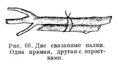 Две связанные палки. Одна прямая, другая с отростками