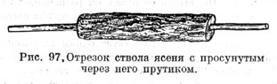 Отрезок ствола ясеня с просунутым через него прутиком