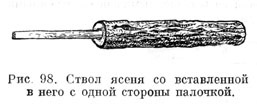 Ствол ясеня со вставленной в него с одной стороны палочкой