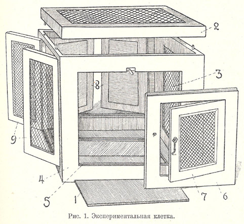 Experimental cage