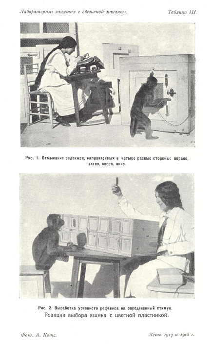 Лабораторные занятия с обезьяной макаком