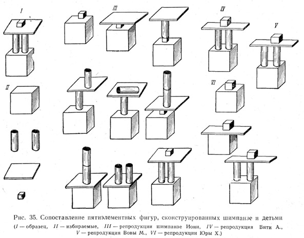 Сопоставление пятиэлементных фигур, сконструированных шимпанзе и детьми