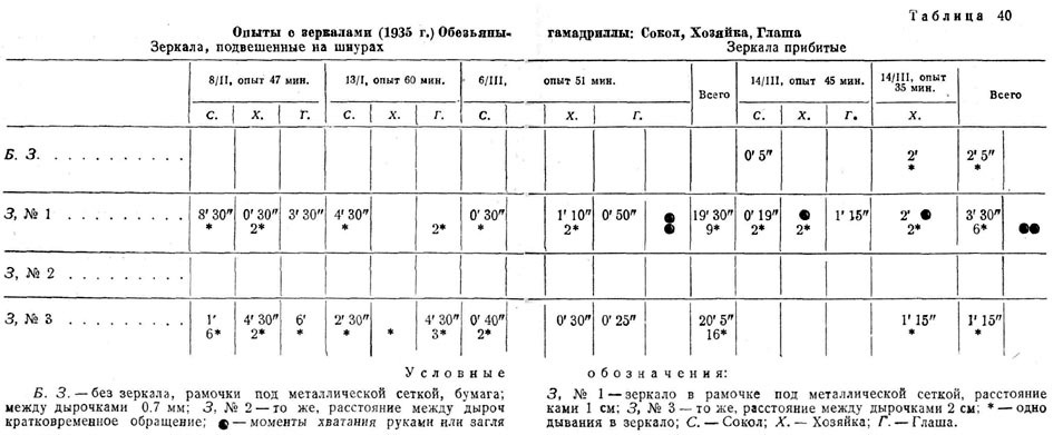 Опыты с зеркалами (1935 г.) Обезьяны-гамадриллы: Сокол, Хозяйка, Глаша