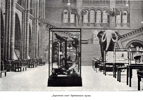 Дарвинова зала Британскаго музея